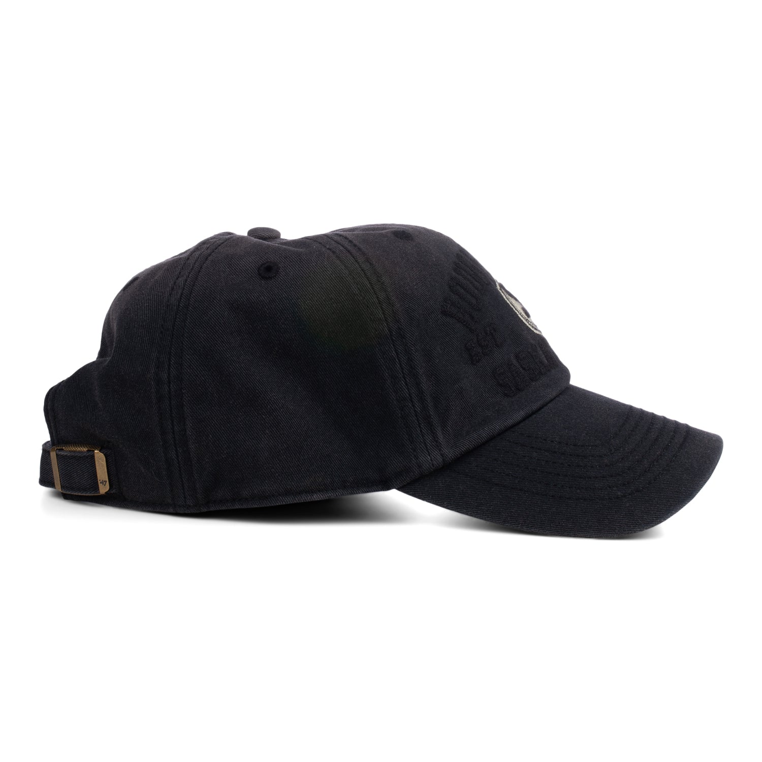 Dusted Steuben Clean Up Cap Black